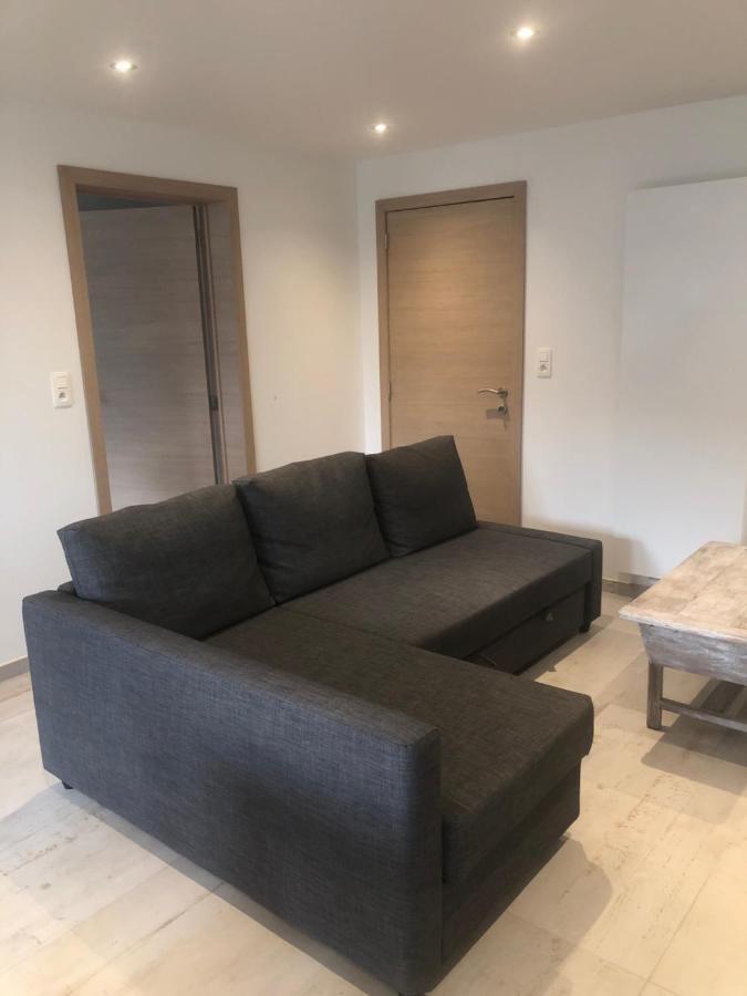 Pegasus I - 2 Chambres De Luxe, Cuisine, Salon, 2 Terrasses Et Sauna Vielsalm Exterior foto